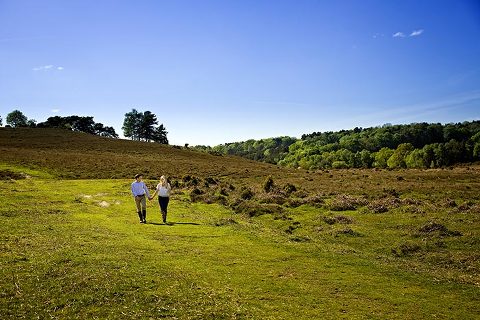 couple walking in New Forest on their engagement photo shoot