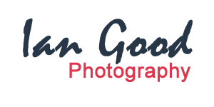 basingstoke photographer logo